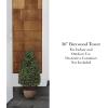 imageArtificial Boxwood Topiary  36Inch TowerStyle Faux Plant in Sturdy Pot  Realistic Indoor or Outdoor Potted Shrub  Greenery Dcor by Pure GardenGreen