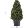 imageArtificial Boxwood Topiary  36Inch TowerStyle Faux Plant in Sturdy Pot  Realistic Indoor or Outdoor Potted Shrub  Greenery Dcor by Pure GardenGreen
