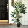 imageArtificial Cycas Palm Tree 3Foot Potted Faux Plant for Home or Office Decoration Ornamental Greenery for Indoor or Outdoor Use by Pure Garden5ft
