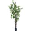 imageArtificial Japanese Bamboo Tree  5Foot Indoor or Outdoor Greenery Accent with Realistically Variegated PVC Leaves and 5Inch Pot by Pure Garden