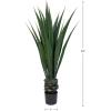 imageGiant Agave Fake Plant  52Inch Faux Succulent with Pot  Artificial Trees Blend Southwestern Style with Modern Home Decor by Pure GardenSet of 2