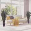 imageGiant Agave Fake Plant  52Inch Faux Succulent with Pot  Artificial Trees Blend Southwestern Style with Modern Home Decor by Pure GardenSet of 2