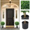 imageHedyotis Topiary Artificial Trees  Set of Two 24InchTall UVResistant Shrubs  IndoorOutdoor Fake Plants for Front Porch Decor by Pure Garden