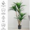 imagePure Garden Artificial Tree  51Inch Tropical Yucca Plant with Rubber Leaves and Natural Trunk for Living Room Bedroom and Office  Faux PlantsGreen