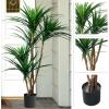 imagePure Garden Artificial Tree  51Inch Tropical Yucca Plant with Rubber Leaves and Natural Trunk for Living Room Bedroom and Office  Faux PlantsGreen