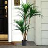 imagePure Garden Artificial Tree  51Inch Tropical Yucca Plant with Rubber Leaves and Natural Trunk for Living Room Bedroom and Office  Faux PlantsGreen