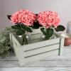 imagePure Garden Rose Artificial Flowers  18Pc Real Touch 115Inch Fake Flower Set with Stems for Home Decor Wedding or BridalBaby Showers CoralCoral