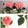 imagePure Garden Rose Artificial Flowers  18Pc Real Touch 115Inch Fake Flower Set with Stems for Home Decor Wedding or BridalBaby Showers CoralCoral