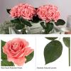 imagePure Garden Rose Artificial Flowers  18Pc Real Touch 115Inch Fake Flower Set with Stems for Home Decor Wedding or BridalBaby Showers CoralCoral
