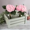imagePure Garden Rose Artificial Flowers  18Pc Real Touch 115Inch Fake Flower Set with Stems for Home Decor Wedding or BridalBaby Showers CoralPink