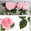 imagePure Garden Rose Artificial Flowers  18Pc Real Touch 115Inch Fake Flower Set with Stems for Home Decor Wedding or BridalBaby Showers CoralPink