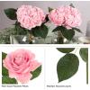 imagePure Garden Rose Artificial Flowers  18Pc Real Touch 115Inch Fake Flower Set with Stems for Home Decor Wedding or BridalBaby Showers CoralPink
