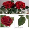 imagePure Garden Rose Artificial Flowers  18Pc Real Touch 115Inch Fake Flower Set with Stems for Home Decor Wedding or BridalBaby Showers CoralRed