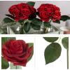 imagePure Garden Rose Artificial Flowers  18Pc Real Touch 115Inch Fake Flower Set with Stems for Home Decor Wedding or BridalBaby Showers CoralRed
