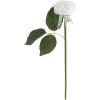 imagePure Garden Rose Artificial Flowers  18Pc Real Touch 115Inch Fake Flower Set with Stems for Home Decor Wedding or BridalBaby Showers CoralWhite