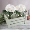 imagePure Garden Rose Artificial Flowers  18Pc Real Touch 115Inch Fake Flower Set with Stems for Home Decor Wedding or BridalBaby Showers CoralWhite