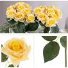 imagePure Garden Rose Artificial Flowers  18Pc Real Touch 115Inch Fake Flower Set with Stems for Home Decor Wedding or BridalBaby Showers CoralYellow