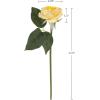 imagePure Garden Rose Artificial Flowers  18Pc Real Touch 115Inch Fake Flower Set with Stems for Home Decor Wedding or BridalBaby Showers CoralYellow