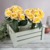 imagePure Garden Rose Artificial Flowers  18Pc Real Touch 115Inch Fake Flower Set with Stems for Home Decor Wedding or BridalBaby Showers CoralYellow