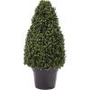 imageArtificial Boxwood Topiary  36Inch TowerStyle Faux Plant in Sturdy Pot  Realistic Indoor or Outdoor Potted Shrub  Greenery Dcor by Pure GardenGreen