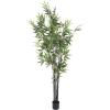 imageArtificial Japanese Bamboo Tree  5Foot Indoor or Outdoor Greenery Accent with Realistically Variegated PVC Leaves and 5Inch Pot by Pure Garden