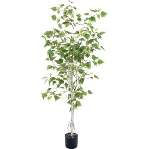 imageBirch Artificial Tree  60Inch Potted Faux Plant with Natural Looking Leaves for Office or Home Decor  Realistic Indoor Fake Plants by Pure Garden