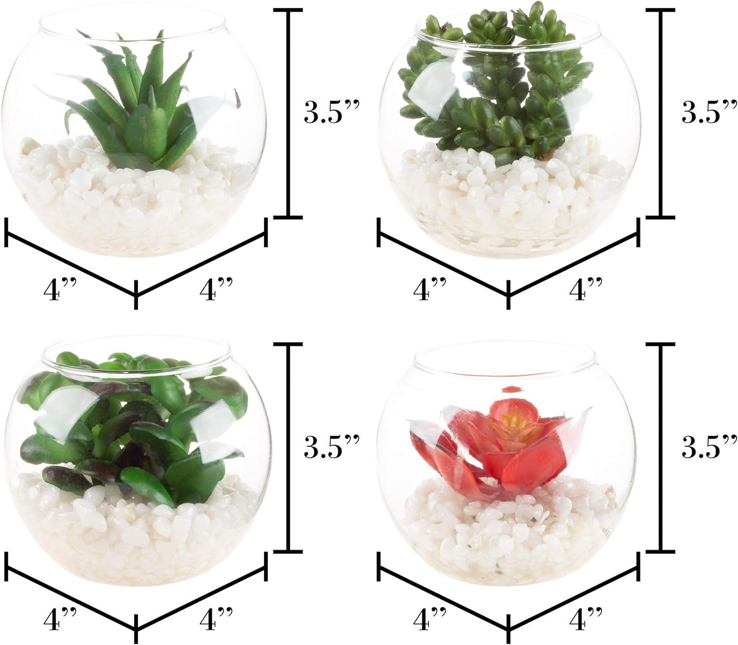 imageFaux Succulents  Assorted Lifelike Plastic Greenery Arrangements Decorative Ceramic Pots for Indoor Home or Office Dcor by Pure Garden Set of 4Clear Bowls