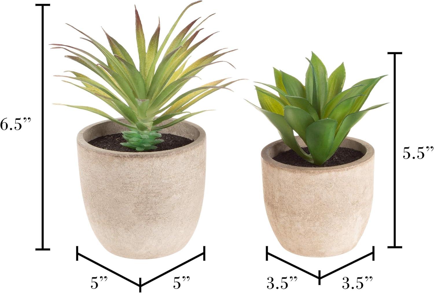 imageFaux Succulents  Assorted Lifelike Plastic Greenery Arrangements Decorative Ceramic Pots for Indoor Home or Office Dcor by Pure Garden Set of 4Set of 2