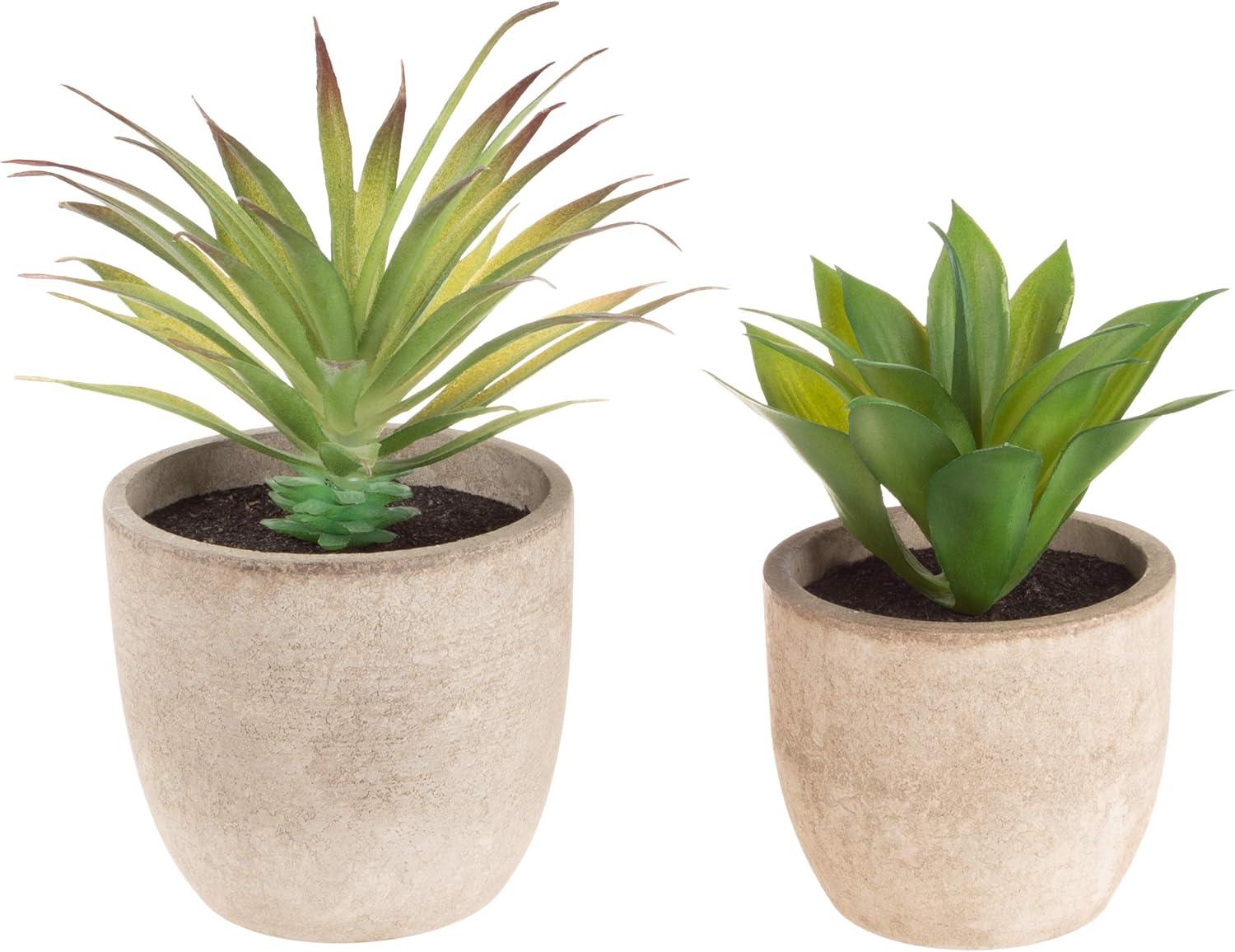 imageFaux Succulents  Assorted Lifelike Plastic Greenery Arrangements Decorative Ceramic Pots for Indoor Home or Office Dcor by Pure Garden Set of 4Set of 2