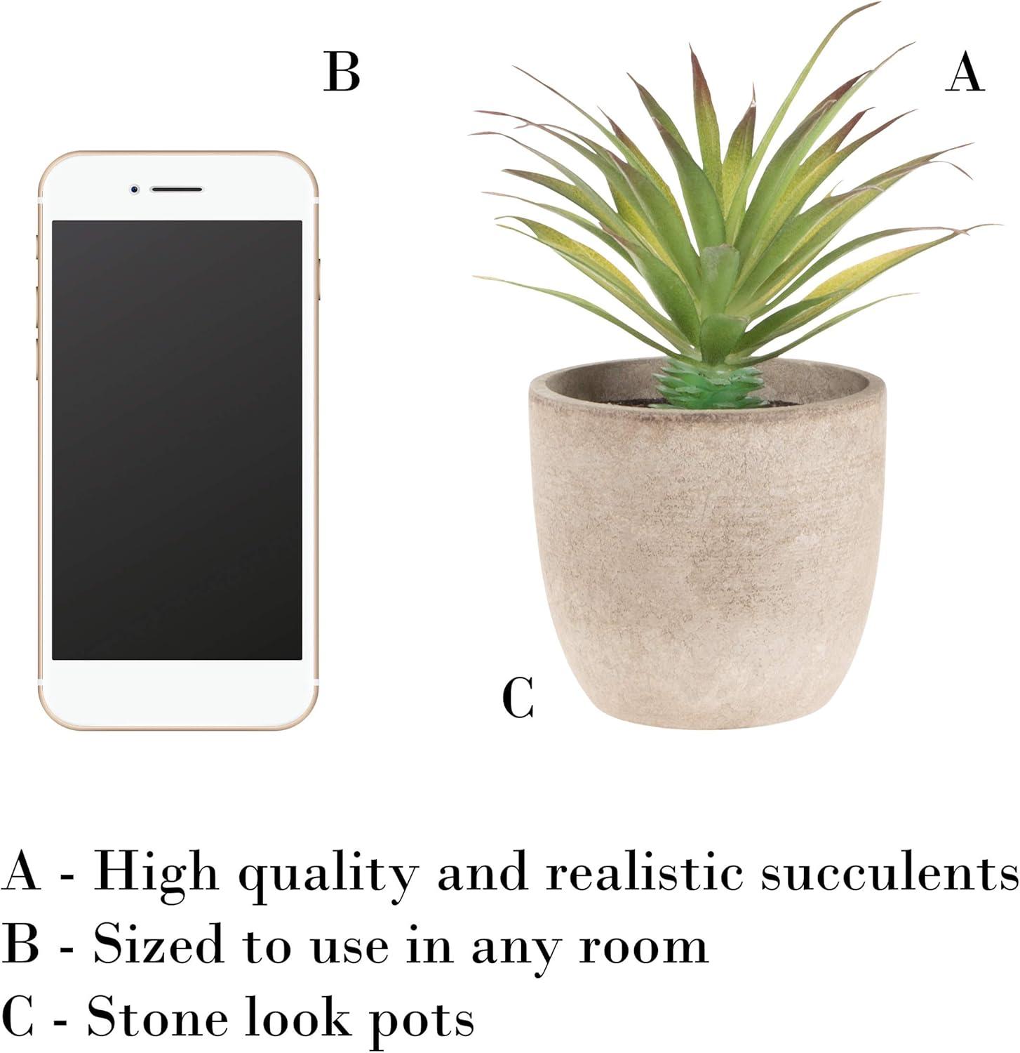 imageFaux Succulents  Assorted Lifelike Plastic Greenery Arrangements Decorative Ceramic Pots for Indoor Home or Office Dcor by Pure Garden Set of 4Set of 2