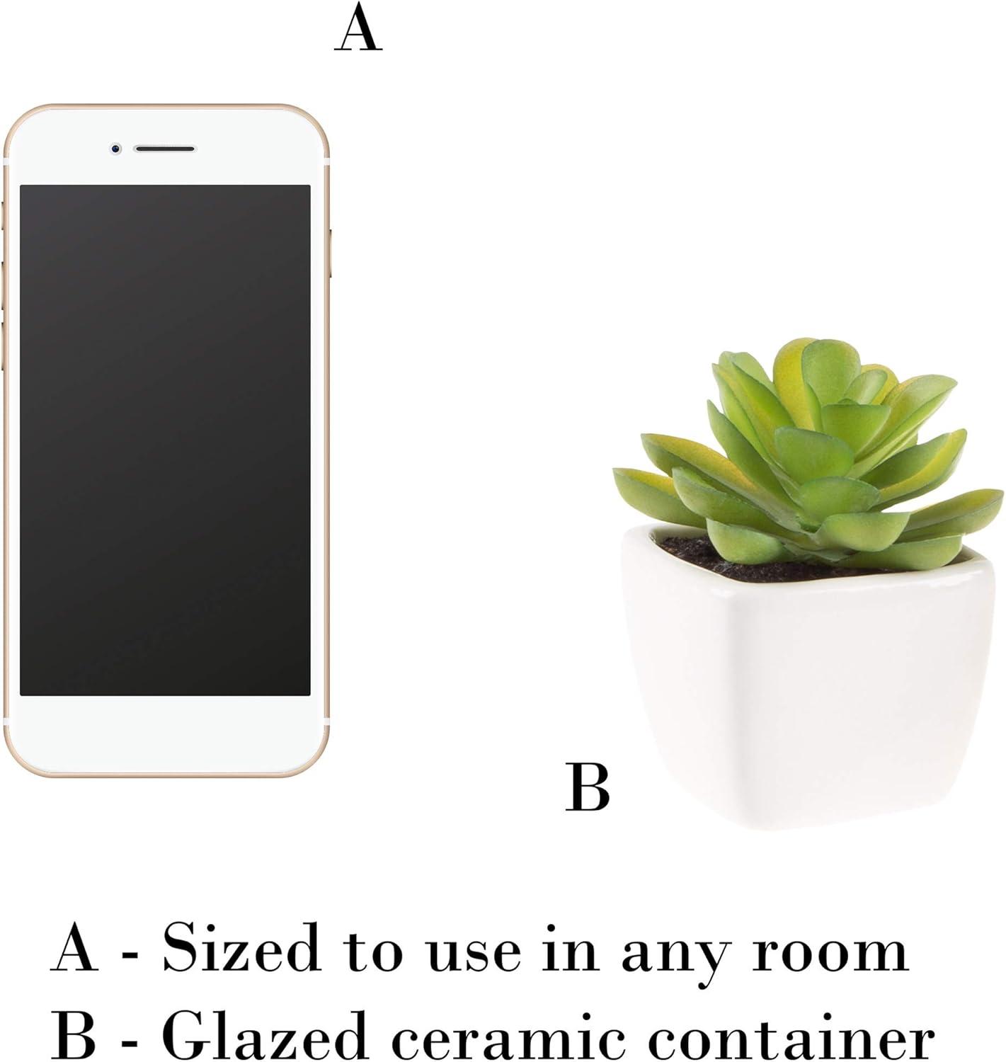 imageFaux Succulents  Assorted Lifelike Plastic Greenery Arrangements Decorative Ceramic Pots for Indoor Home or Office Dcor by Pure Garden Set of 4White Bowls