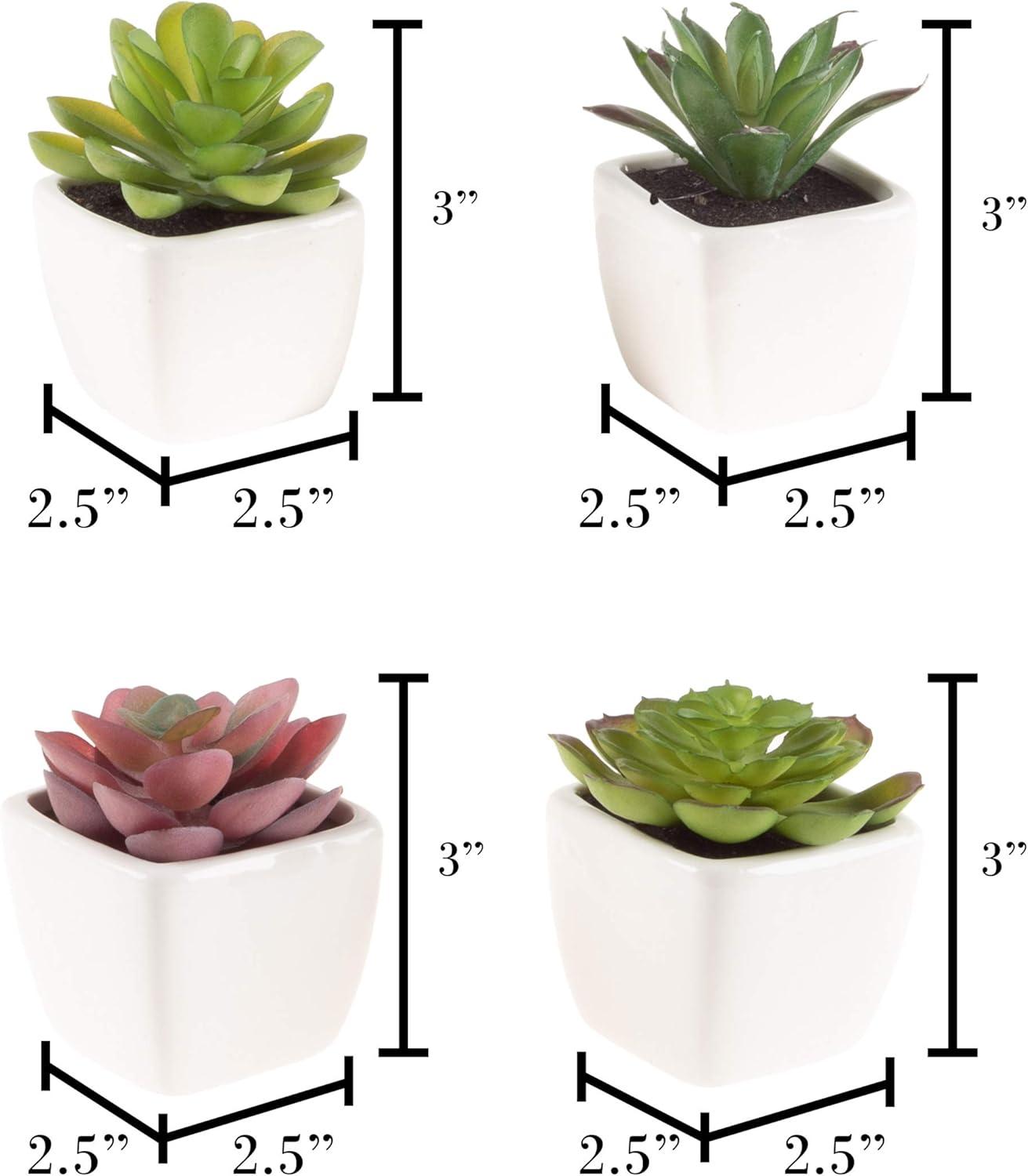 imageFaux Succulents  Assorted Lifelike Plastic Greenery Arrangements Decorative Ceramic Pots for Indoor Home or Office Dcor by Pure Garden Set of 4White Bowls