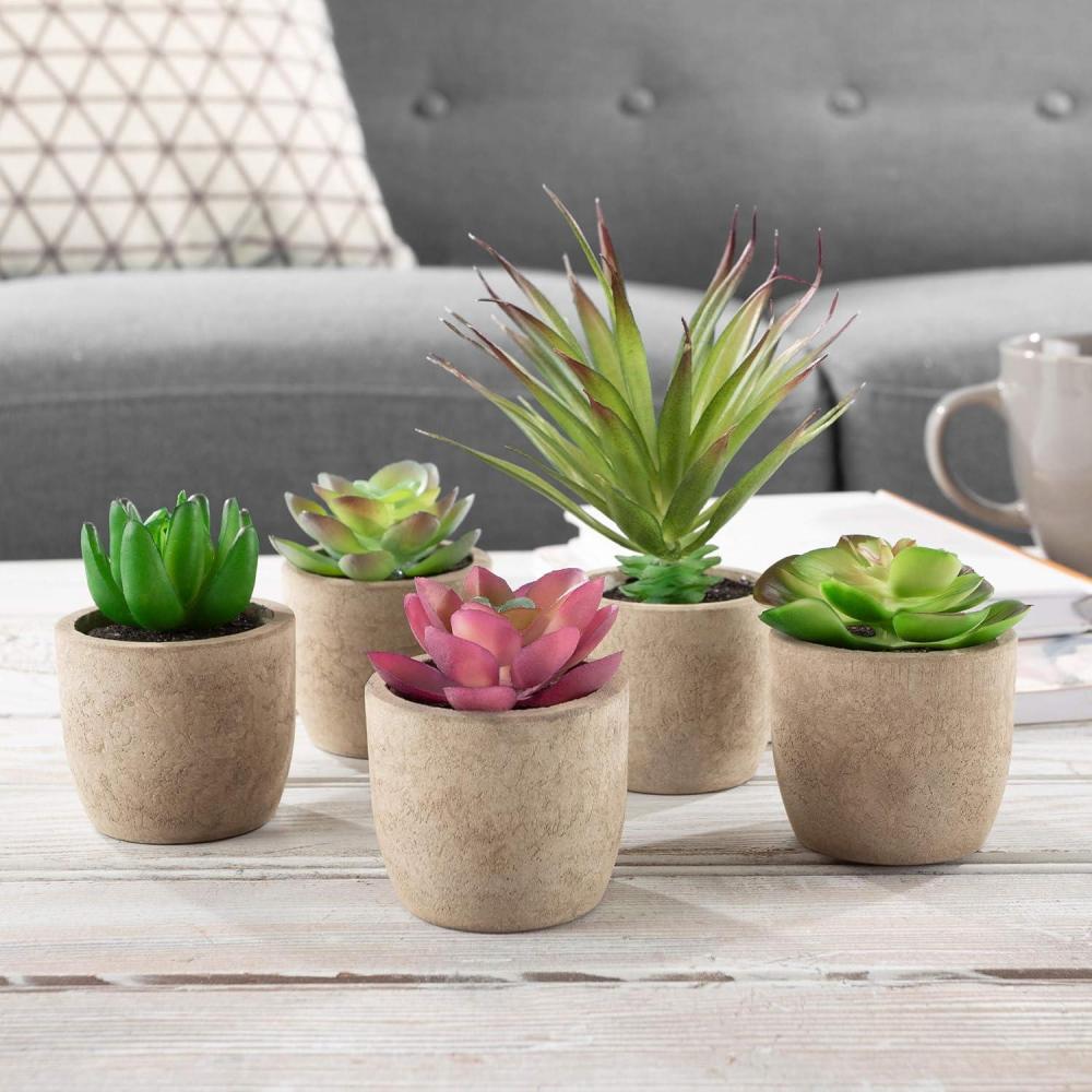 imageFaux Succulents  Assorted Lifelike Plastic Greenery Arrangements Decorative Ceramic Pots for Indoor Home or Office Dcor by Pure Garden Set of 4Brown Bowls