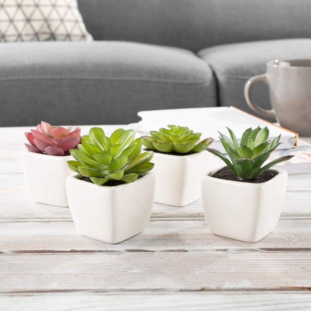 imageFaux Succulents  Assorted Lifelike Plastic Greenery Arrangements Decorative Ceramic Pots for Indoor Home or Office Dcor by Pure Garden Set of 4White Bowls