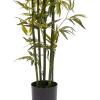imageArtificial Bamboo Tree  6FT Fake Plant with Adjustable Leaves and Pot  Faux Plants Indoor for Home Restaurant or Office Dcor by Pure GardenGreen Trunk