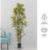 imageArtificial Bamboo Tree  6FT Fake Plant with Adjustable Leaves and Pot  Faux Plants Indoor for Home Restaurant or Office Dcor by Pure GardenGreen Trunk