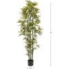 imageArtificial Bamboo Tree  6FT Fake Plant with Adjustable Leaves and Pot  Faux Plants Indoor for Home Restaurant or Office Dcor by Pure GardenGreen Trunk