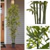 imageArtificial Bamboo Tree  6FT Fake Plant with Adjustable Leaves and Pot  Faux Plants Indoor for Home Restaurant or Office Dcor by Pure GardenGreen Trunk
