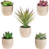 imageFaux Succulents  Assorted Lifelike Plastic Greenery Arrangements Decorative Ceramic Pots for Indoor Home or Office Dcor by Pure Garden Set of 4Brown Bowls