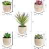 imageFaux Succulents  Assorted Lifelike Plastic Greenery Arrangements Decorative Ceramic Pots for Indoor Home or Office Dcor by Pure Garden Set of 4Brown Bowls