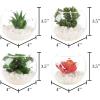 imageFaux Succulents  Assorted Lifelike Plastic Greenery Arrangements Decorative Ceramic Pots for Indoor Home or Office Dcor by Pure Garden Set of 4Clear Bowls
