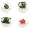 imageFaux Succulents  Assorted Lifelike Plastic Greenery Arrangements Decorative Ceramic Pots for Indoor Home or Office Dcor by Pure Garden Set of 4Clear Bowls