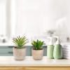 imageFaux Succulents  Assorted Lifelike Plastic Greenery Arrangements Decorative Ceramic Pots for Indoor Home or Office Dcor by Pure Garden Set of 4Set of 2