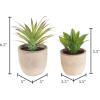 imageFaux Succulents  Assorted Lifelike Plastic Greenery Arrangements Decorative Ceramic Pots for Indoor Home or Office Dcor by Pure Garden Set of 4Set of 2