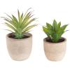 imageFaux Succulents  Assorted Lifelike Plastic Greenery Arrangements Decorative Ceramic Pots for Indoor Home or Office Dcor by Pure Garden Set of 4Set of 2