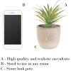 imageFaux Succulents  Assorted Lifelike Plastic Greenery Arrangements Decorative Ceramic Pots for Indoor Home or Office Dcor by Pure Garden Set of 4Set of 2