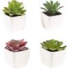 imageFaux Succulents  Assorted Lifelike Plastic Greenery Arrangements Decorative Ceramic Pots for Indoor Home or Office Dcor by Pure Garden Set of 4White Bowls