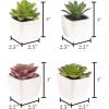 imageFaux Succulents  Assorted Lifelike Plastic Greenery Arrangements Decorative Ceramic Pots for Indoor Home or Office Dcor by Pure Garden Set of 4White Bowls