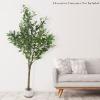 imagePure Garden Artificial Olive Tree  6Foot Potted Faux Plant with Fruit for Home or Office Decoration  Natural Looking Polyester LeavesGreen