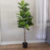 imagePure Garden Artificial Olive Tree  6Foot Potted Faux Plant with Fruit for Home or Office Decoration  Natural Looking Polyester LeavesGreen